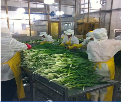脱水蔬菜与香辛料 健康生活从源泉起步